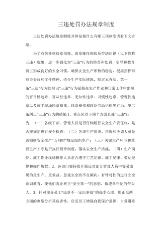 三违处罚办法规章制度
