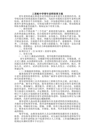 三里畈中学青年教师培养方案