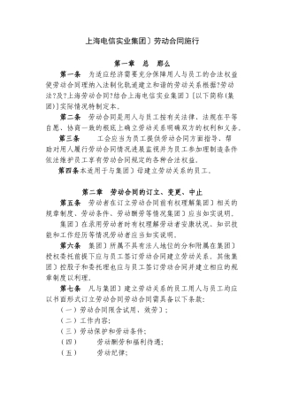 上海电信实业有限公司劳动合同实施办法