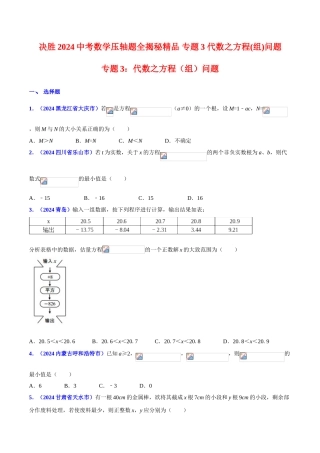 专题03 代数之方程（组）问题（压轴题）-决胜2024中考数学压轴题全揭秘精品（原卷版）