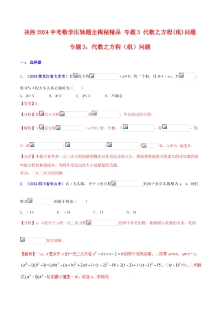 专题03 代数之方程（组）问题（压轴题）-决胜2024中考数学压轴题全揭秘精品（解析版）