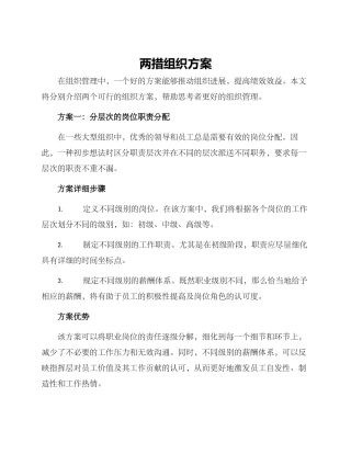 两措组织方案
