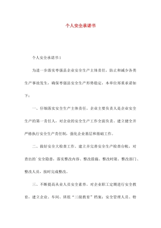 个人安全承诺书 (2)