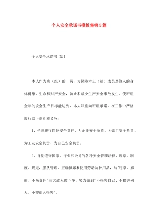个人安全承诺书模板集锦5篇