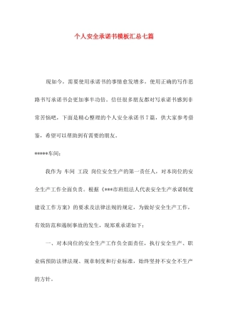 个人安全承诺书模板汇总七篇