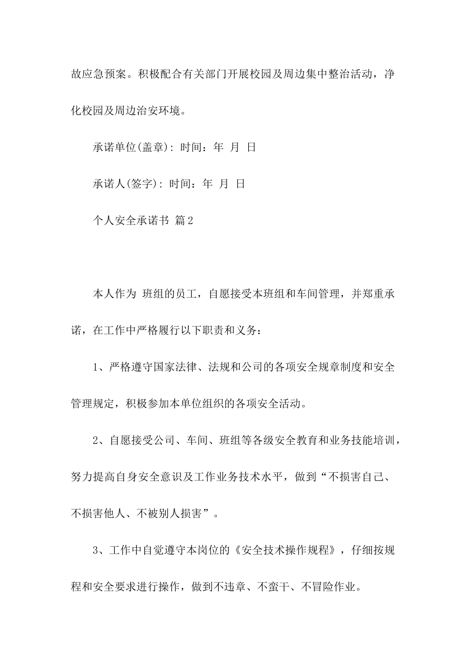 个人安全承诺书模板合集六篇_第3页