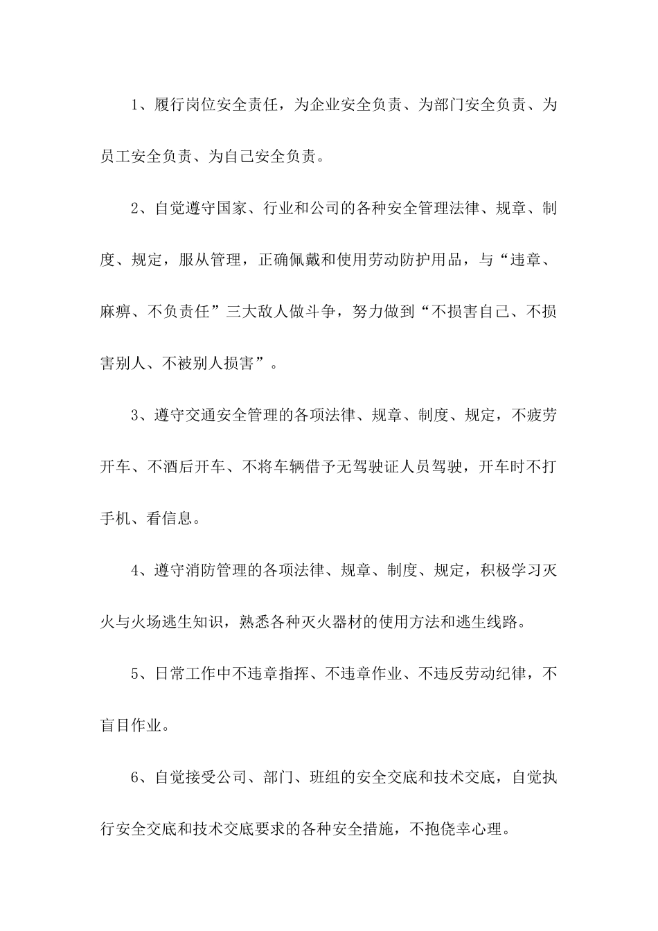 个人承诺书集合5篇_第2页