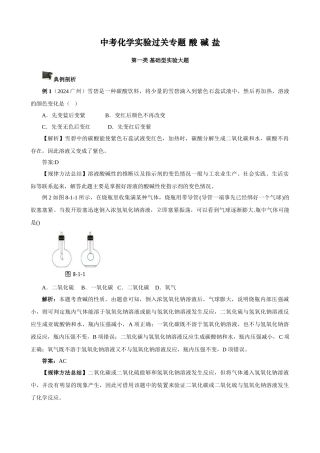 中考化学实验过关专题 酸 碱 盐 人教版