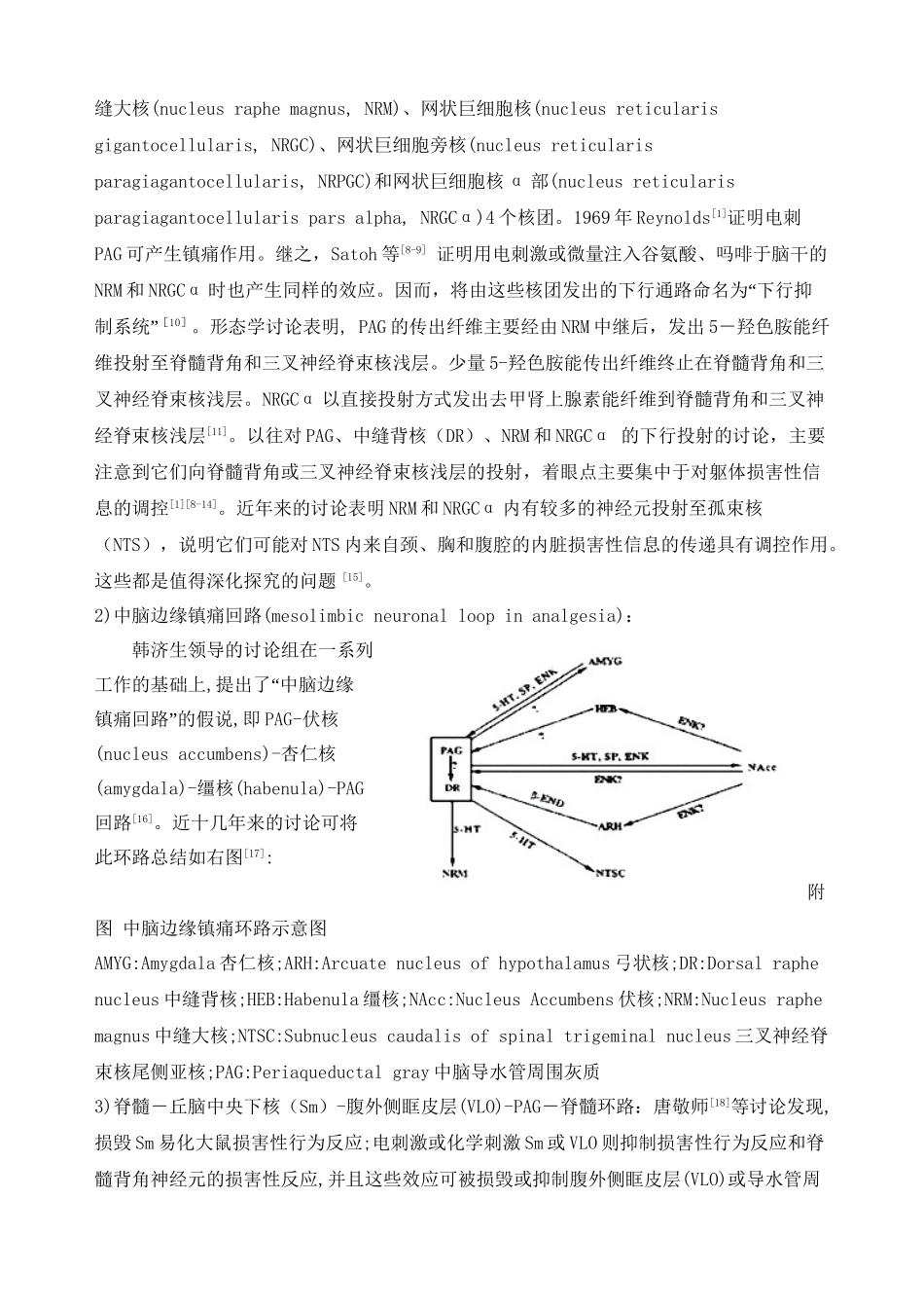 中脑导水管周围灰质在痛觉调制中的作用_第2页