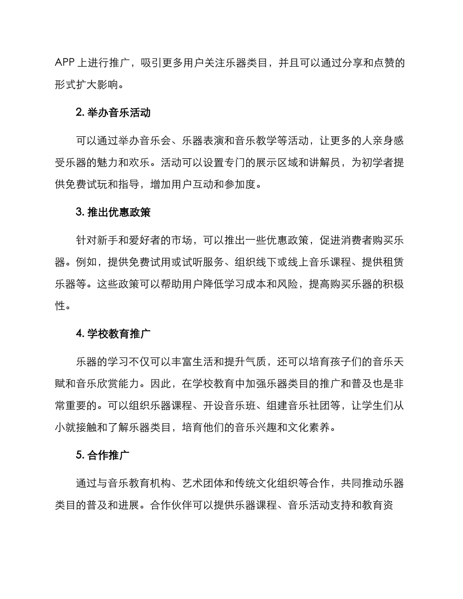 乐器类目推广方案_第2页