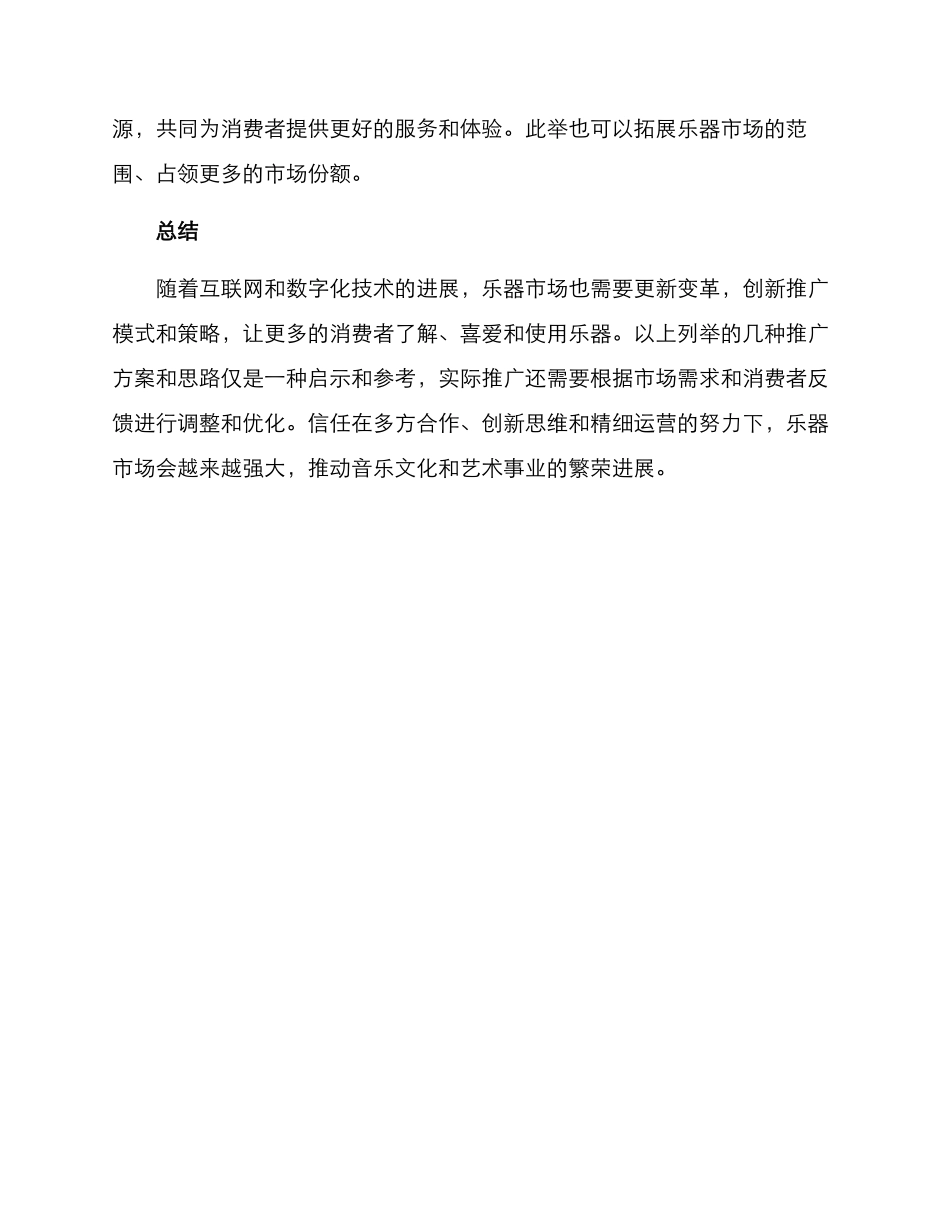 乐器类目推广方案_第3页