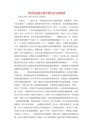 书记在全县三级干部大会上的讲话