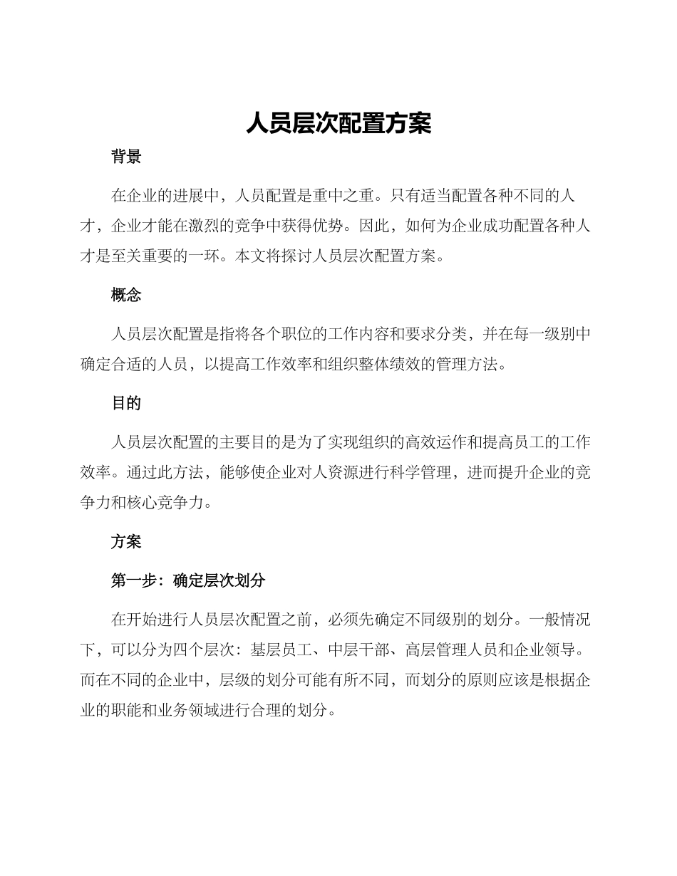 人员层次配置方案_第1页