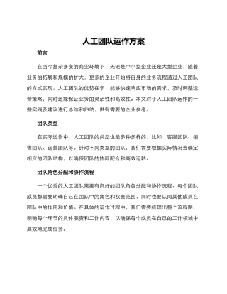 人工团队运作方案