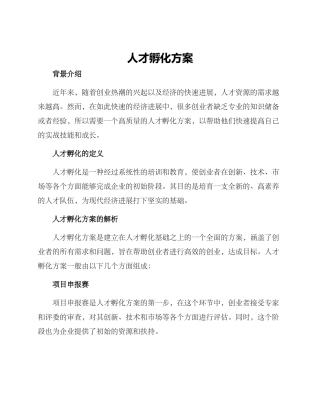人才孵化方案