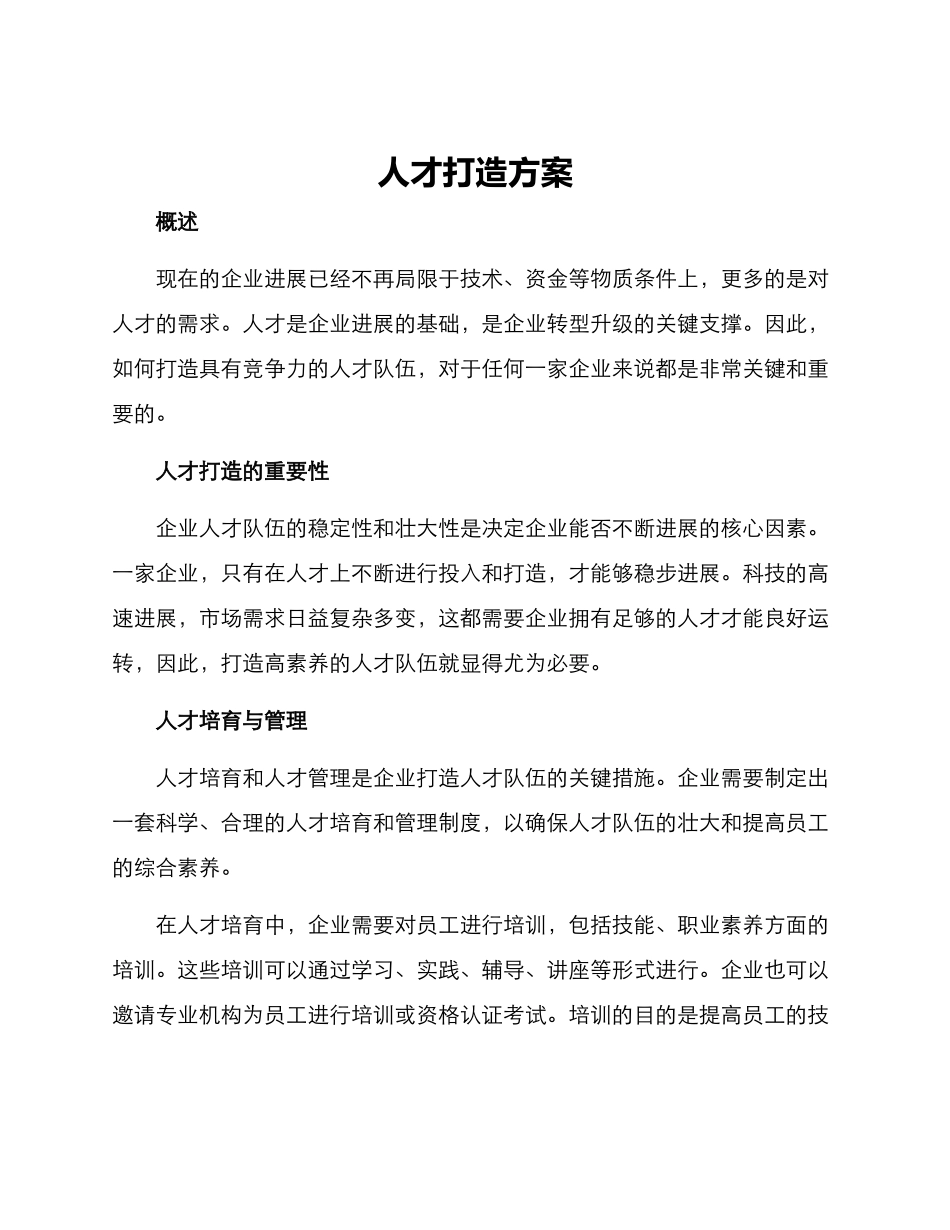 人才打造方案_第1页