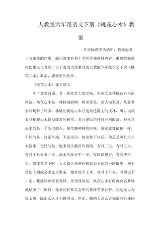 人教版六年级语文下册《桃花心木》教案
