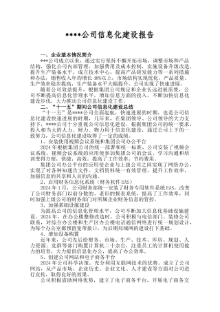 企业信息化建设报告