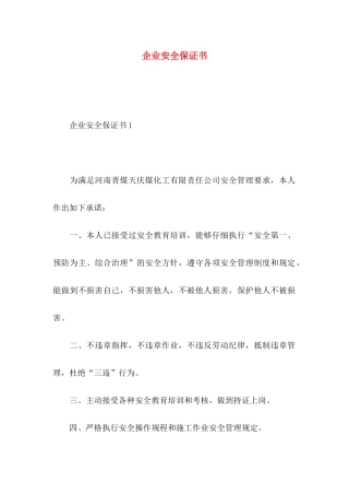企业安全保证书 (2)