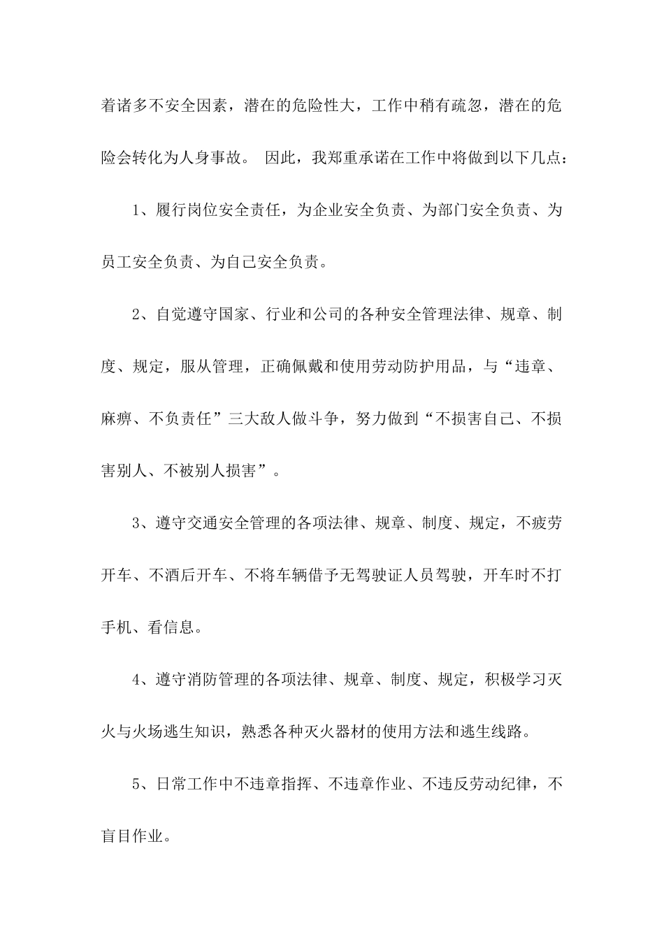 企业安全承诺书模板锦集5篇_第2页