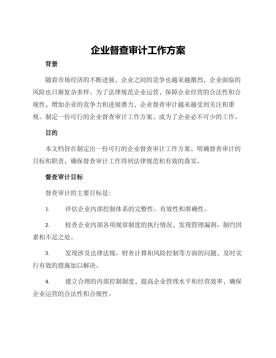 企业督查审计工作方案_第1页