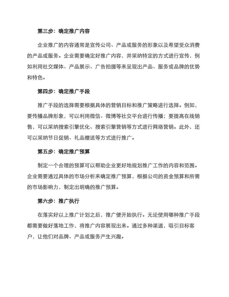 企业精致推广方案_第2页