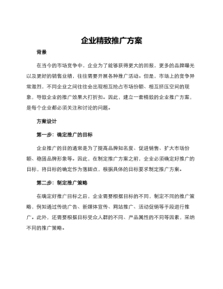 企业精致推广方案