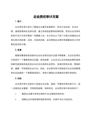企业责任审计方案