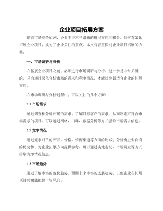企业项目拓展方案