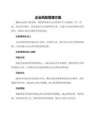企业风险管理方案