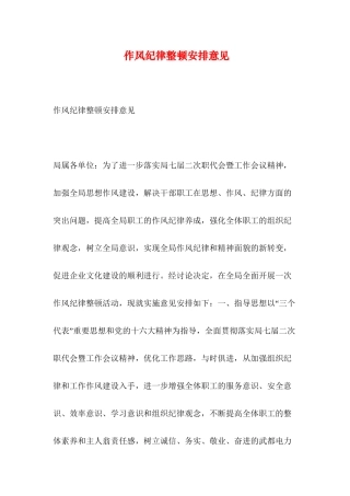 作风纪律整顿安排意见