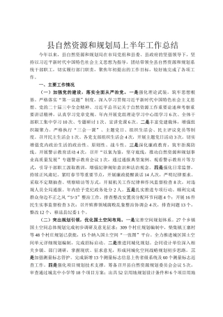 县自然资源和规划局上半年工作总结