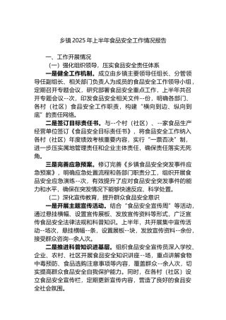 乡镇2025年上半年食品安全工作情况报告