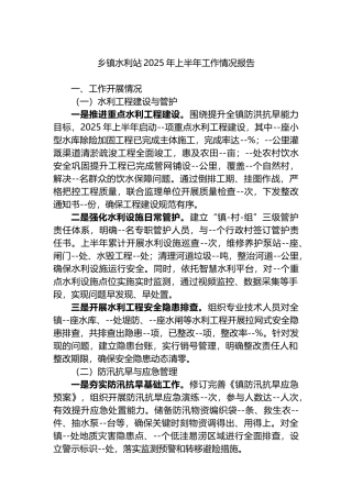 乡镇水利站2025年上半年工作情况报告