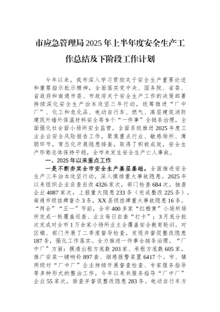 市应急管理局2025年上半年度安全生产工作总结及下阶段工作计划