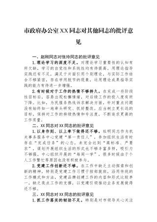 市政府办公室XX同志对其他同志的批评意见