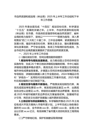 市自然资源和规划局（林业局）2025年上半年工作总结和下半年工作思路计划
