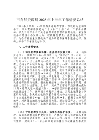 市自然资源局2025年上半年工作情况总结
