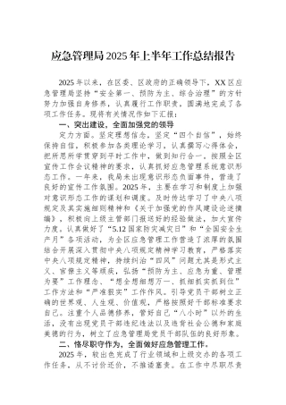 应急管理局2025年上半年工作总结报告