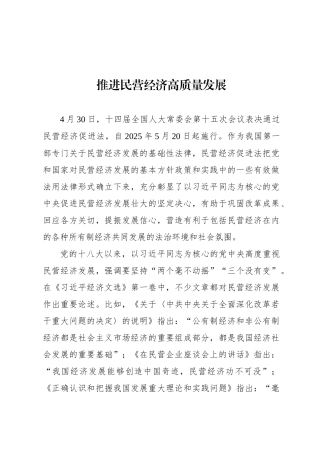 推进民营经济高质量发展