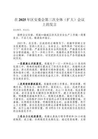 在2025年区安委会第三次全体（扩大）会议上的发言