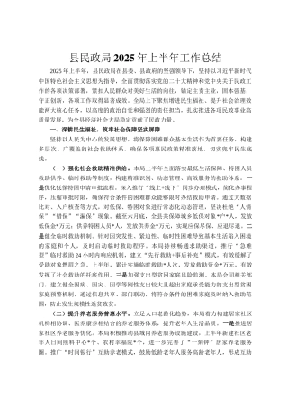 县民政局2025年上半年工作总结