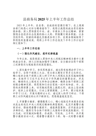 县商务局2025年上半年工作总结