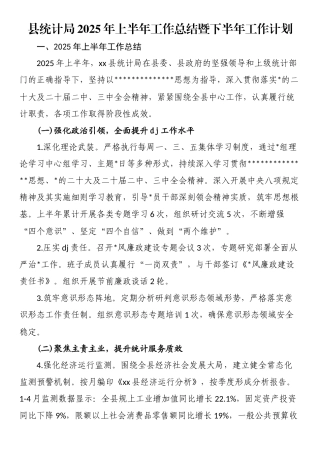 县统计局2025年上半年工作总结暨下半年工作计划