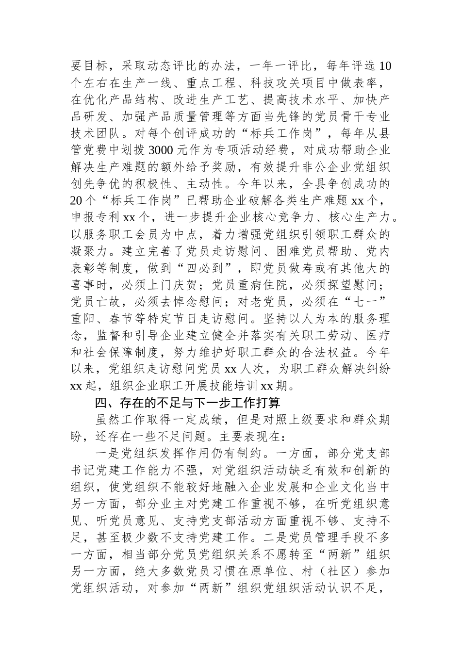 县委“两新”工委2025年上半年工作总结_第3页