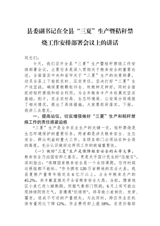 县委副书记在全县“三夏”生产暨秸秆禁烧工作安排部署会议上的讲话