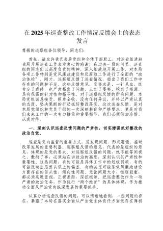 在2025年巡查整改工作情况反馈会上的表态发言