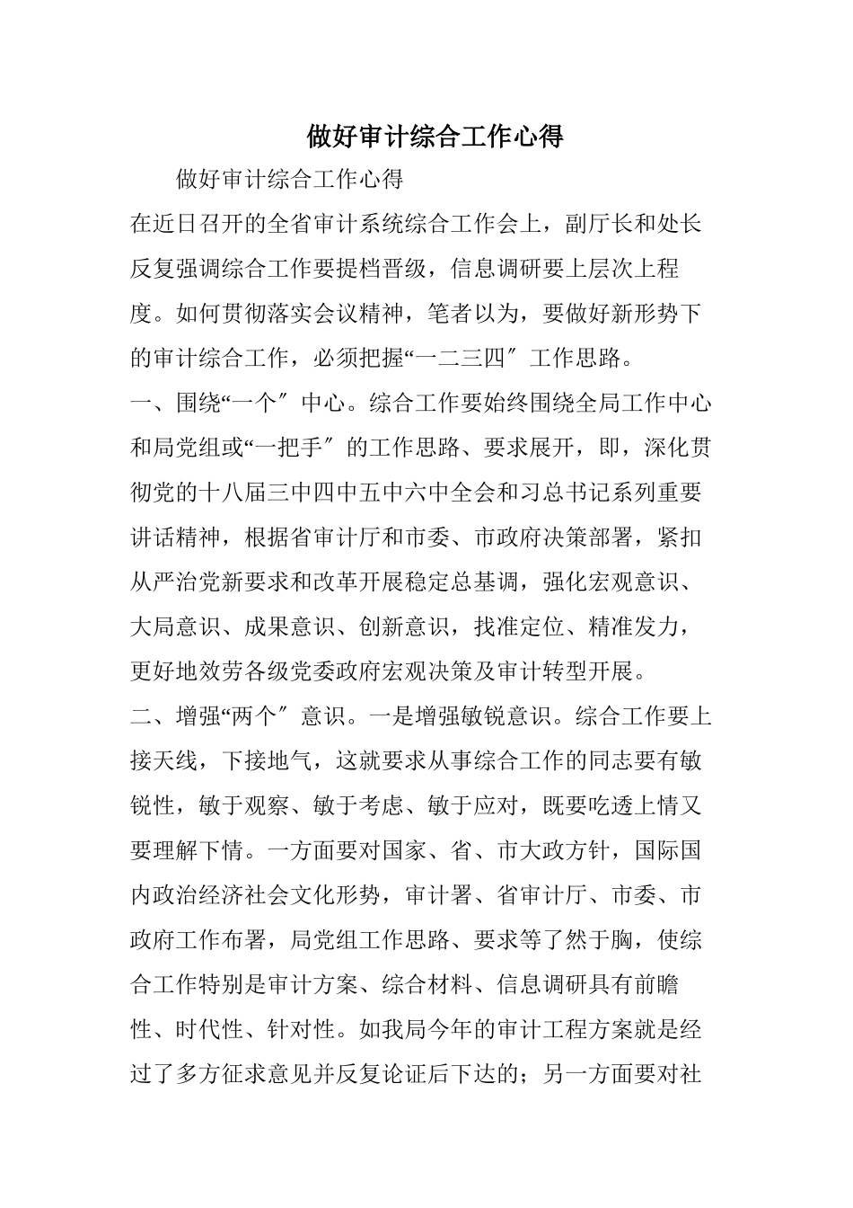 做好审计综合工作心得_第1页