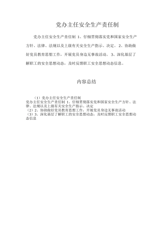 党办主任安全生产责任制