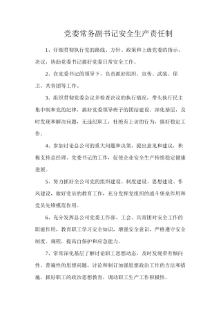 党委常务副书记安全生产责任制